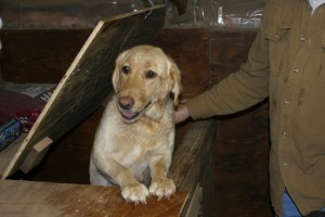 09Maggie